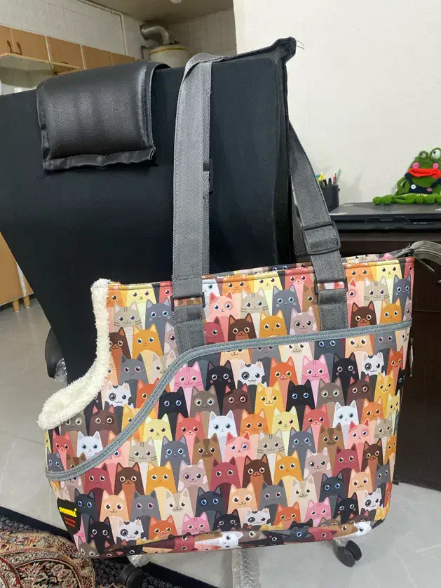 کیف حمل گربه و سگ|لوازم جانبی حیوانات|شاهین‌شهر, دهخدا|دیوار