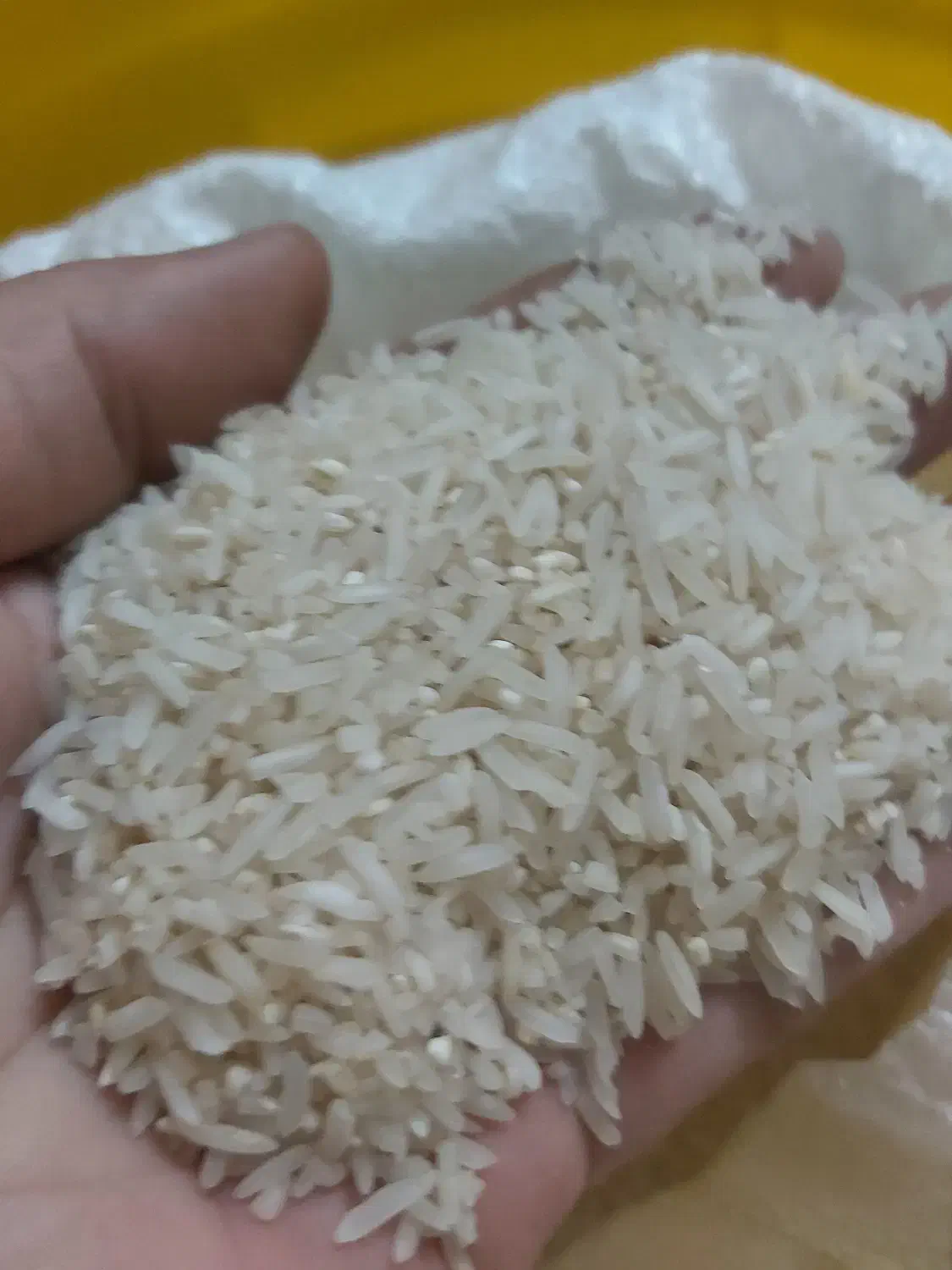 نیم دانه،سرلاشه|خوردنی و آشامیدنی|مشکیندشت, |دیوار