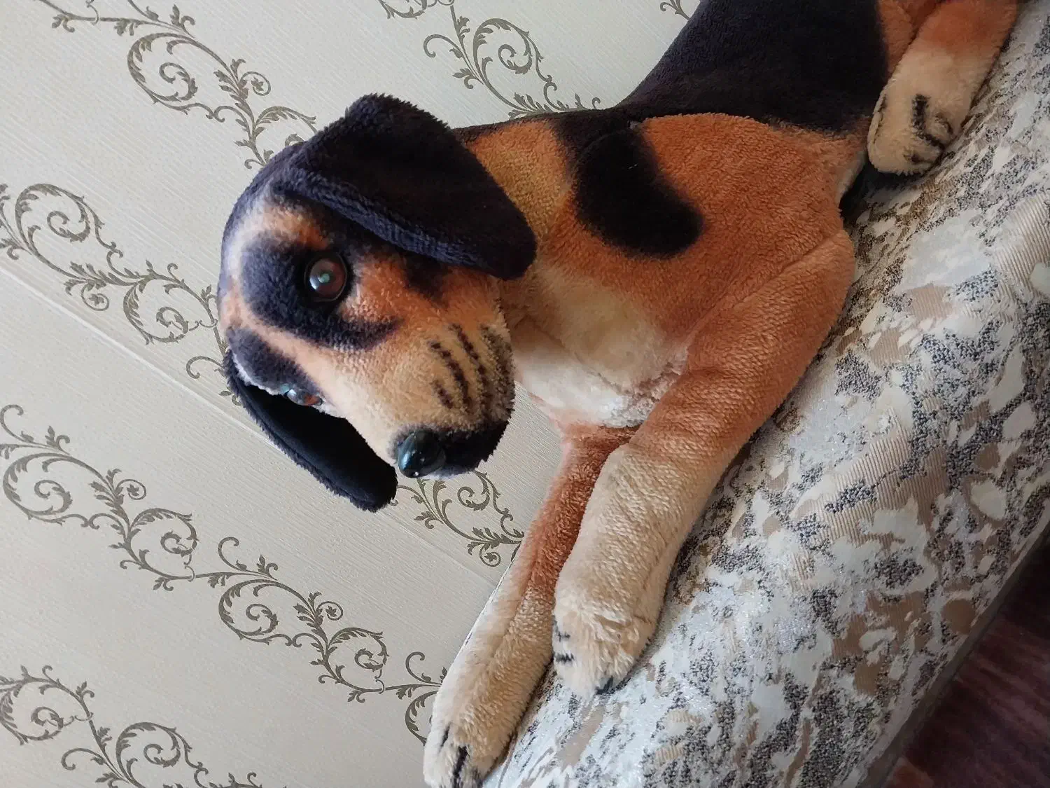 اسباب بازی موزیکال|اسباب‌‌بازی|سهند, |دیوار