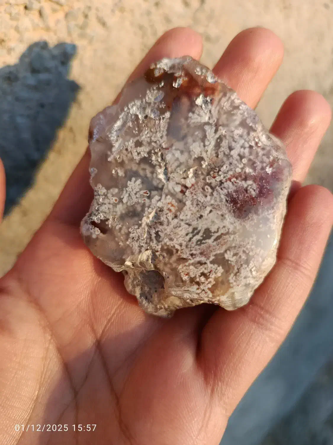 شجر برفی|کلکسیون اشیاء عتیقه|آیسک, |دیوار