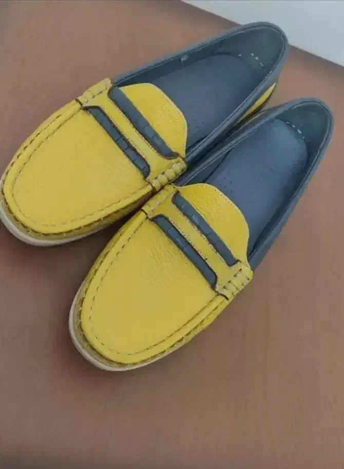 کالج چرم|کیف، کفش، کمربند|فردیس, قریشی|دیوار