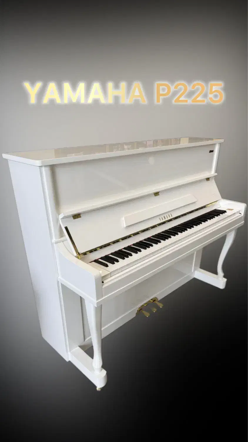 پیانو دیجیتال P45 / P145 / P125 / P225|پیانو، کیبورد، آکاردئون|مشهد, احمدآباد|دیوار