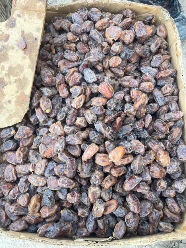 خرما کارتن موزی|خوردنی و آشامیدنی|وحدتیه, |دیوار