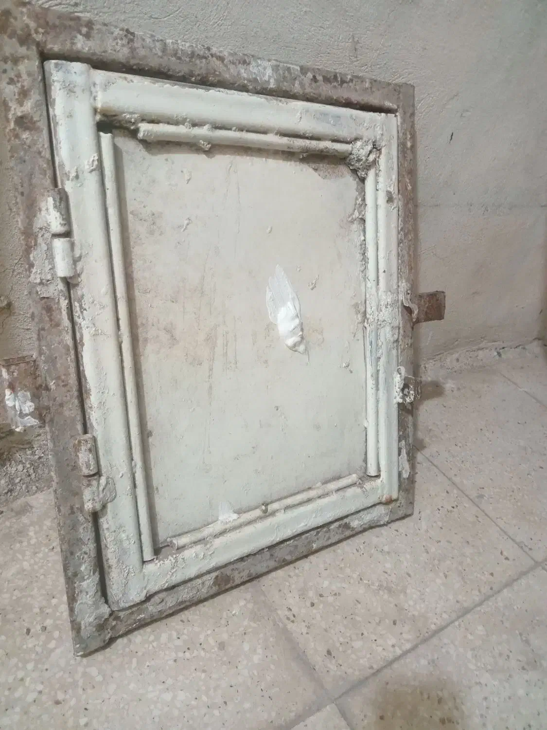 کفتر|لوازم جانبی حیوانات|بم, |دیوار