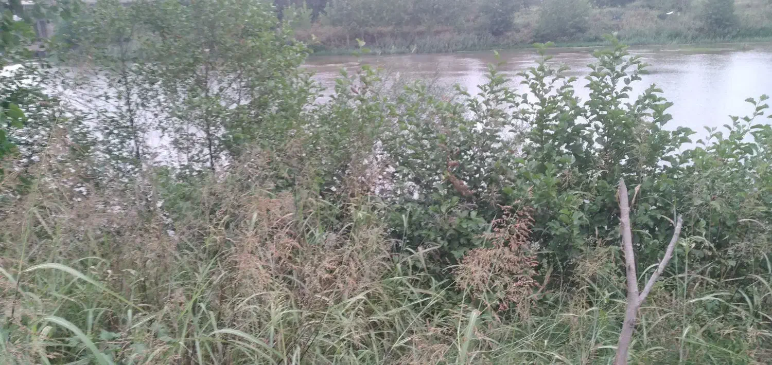 زمین کشاورزی|فروش دفتر صنعتی، کشاورزی، تجاری|کیاشهر, |دیوار