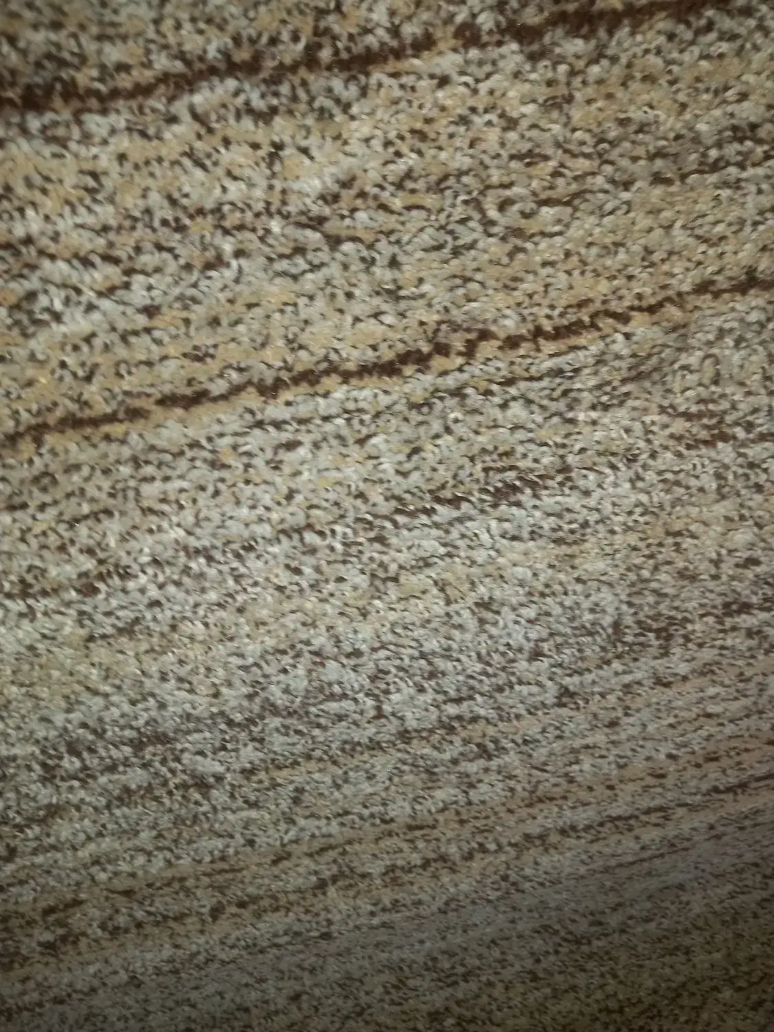 مقداری موکت تمیز|موکت|اهواز, منبع اب|دیوار