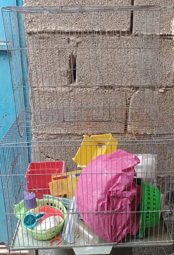 ۲ عدد قفس پرنده همراه با وسایلش|لوازم جانبی حیوانات|بندر ماهشهر, |دیوار
