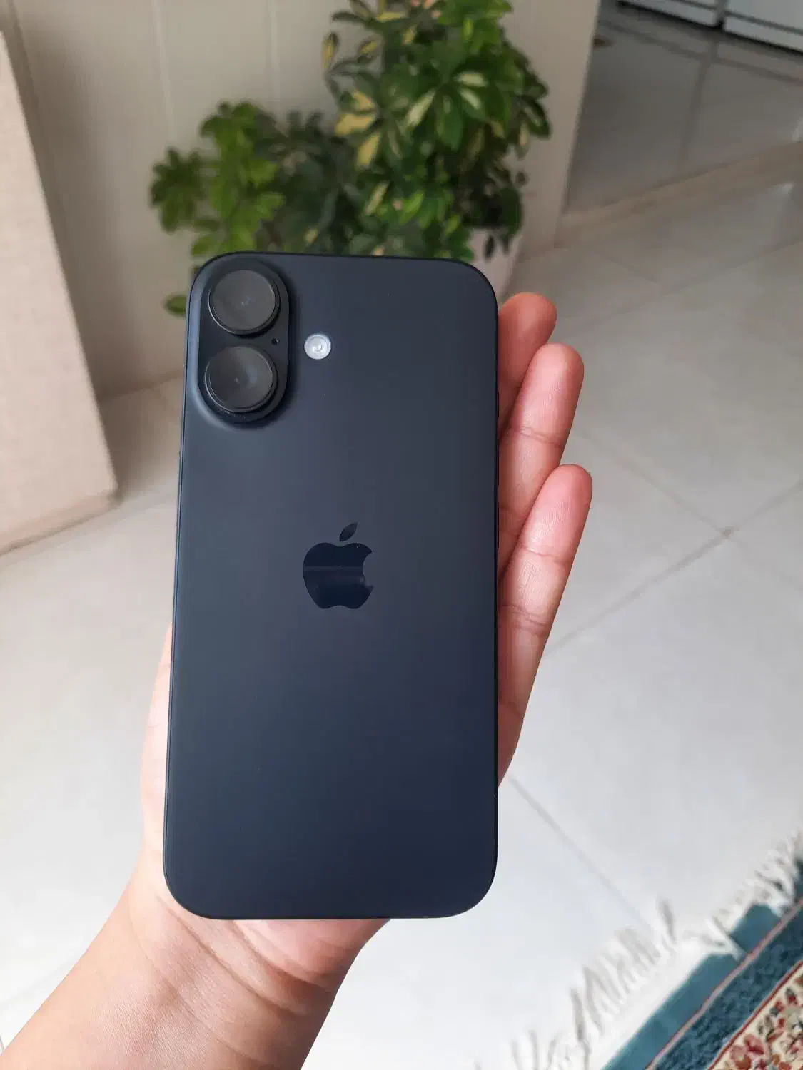 ایفون ۱۶ نرمال|موبایل|بندرعباس, |دیوار