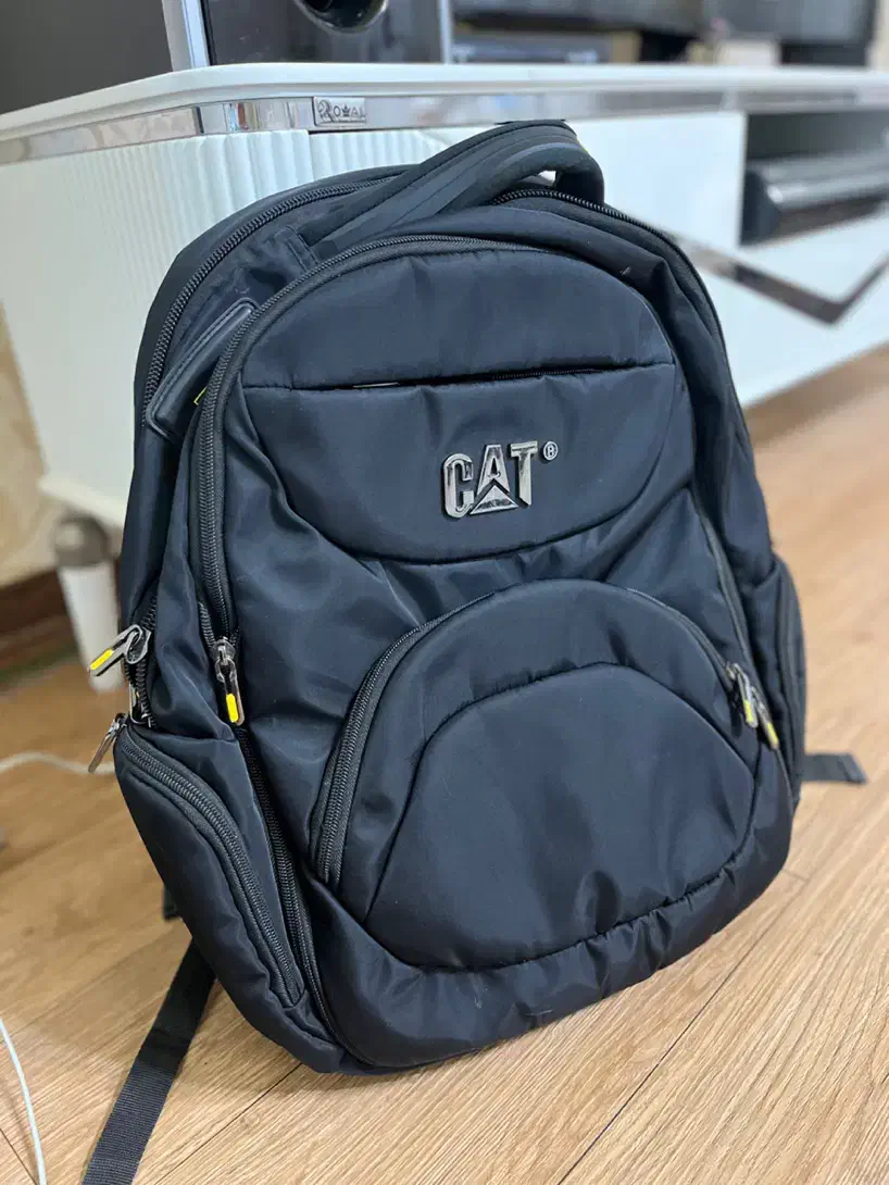 کوله پشتی|کیف، کفش، کمربند|کیش, |دیوار