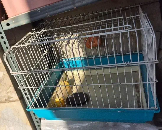 قفس گربه خرگوش خوکچه هندی یا همستر|لوازم جانبی حیوانات|تهران, شمسآباد|دیوار