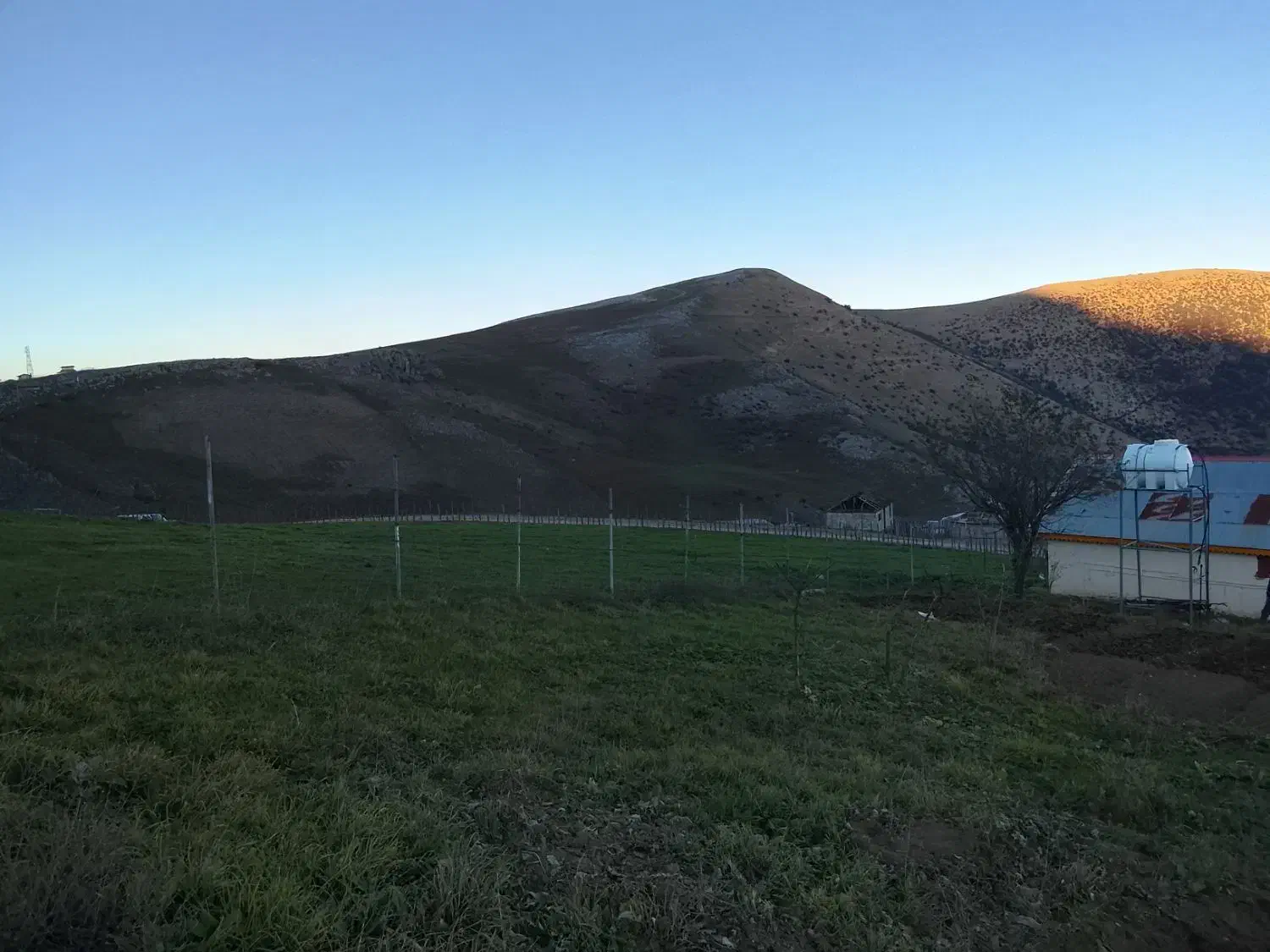 زدن علف هرز|خدمات باغبانی و درختکاری|آستانه اشرفیه, |دیوار