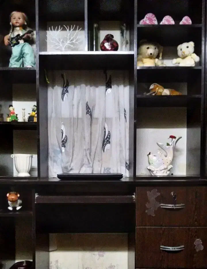 میز به همراه شلف|کتابخانه، شلف، قفسههای دیواری|تهران, مسعودیه|دیوار