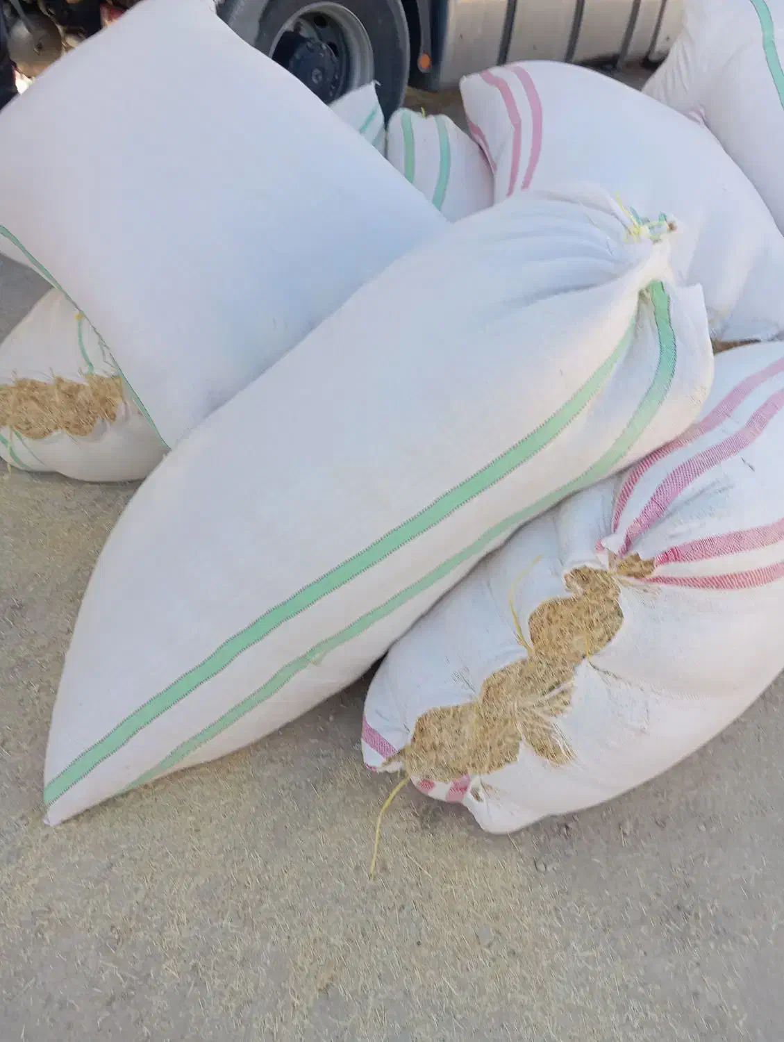 کاه گندم نرم|لوازم جانبی حیوانات|زابل, |دیوار