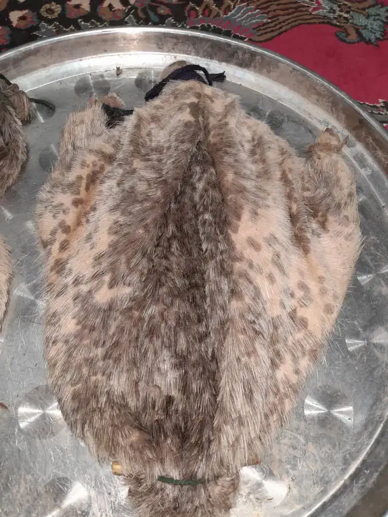 خیگ وروغن|عمدهفروشی|دهدشت, |دیوار