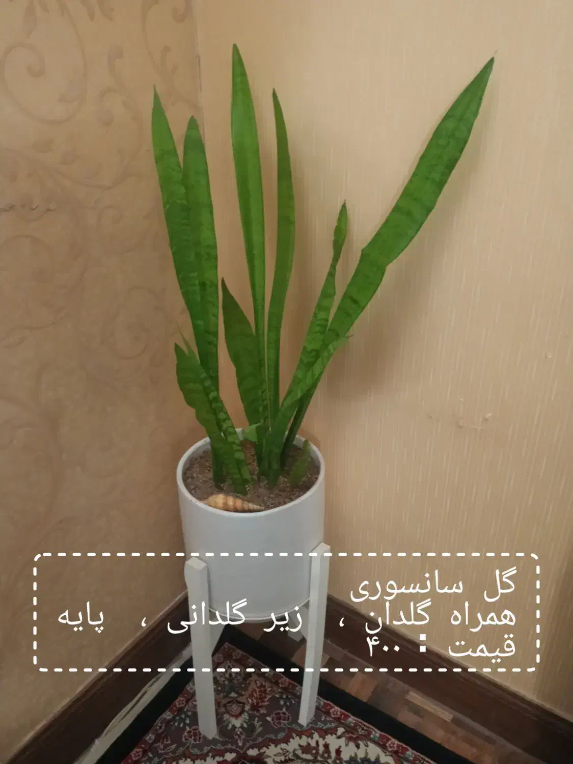 گل طبیعی لطفاً ورق بزنید|گل و گیاه طبیعی|مشهد, هنرور|دیوار