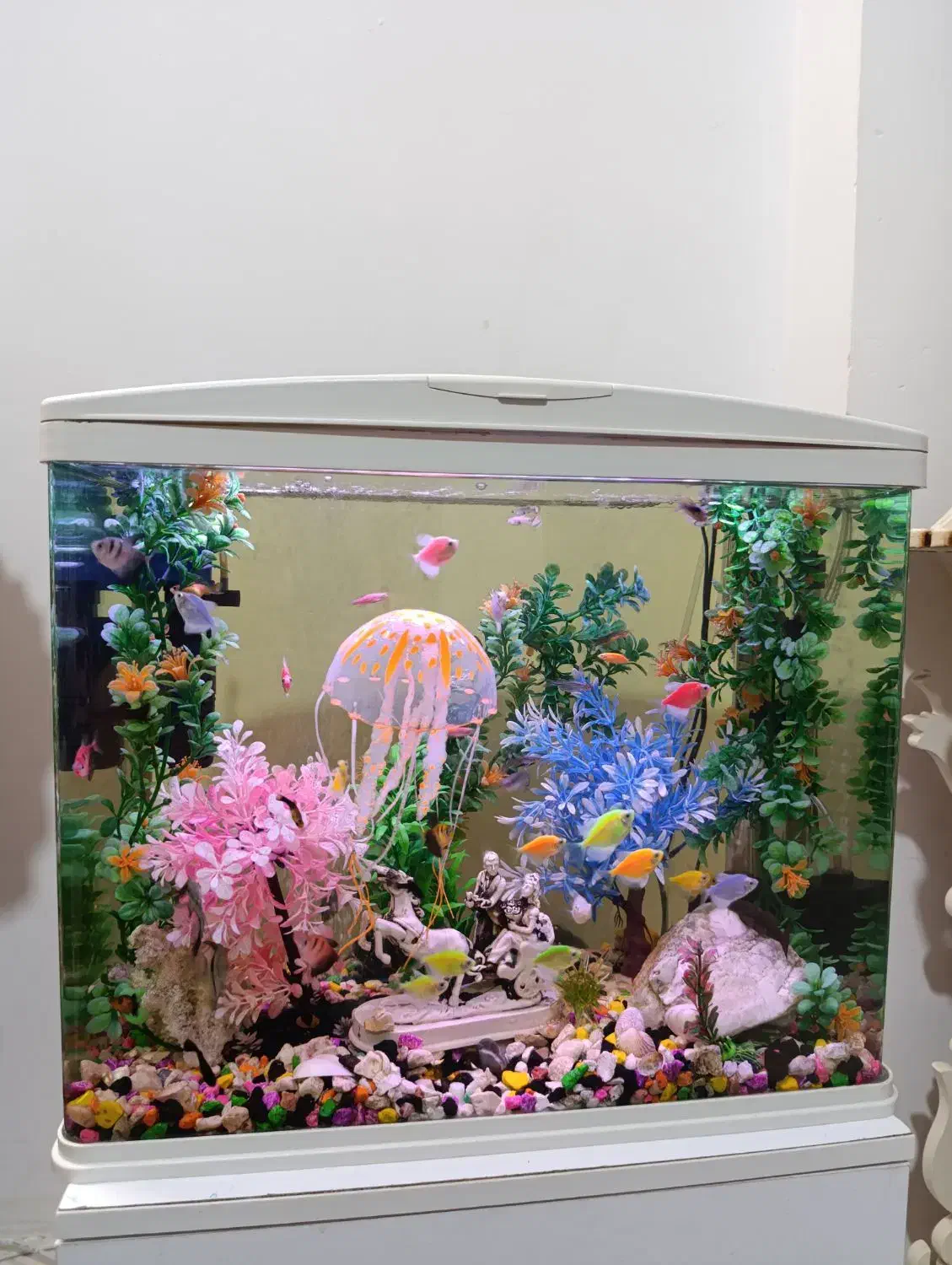 آکواریوم خوشگل شرکتی با تمام وسایل در حد نو|ماهی|قوچان, |دیوار