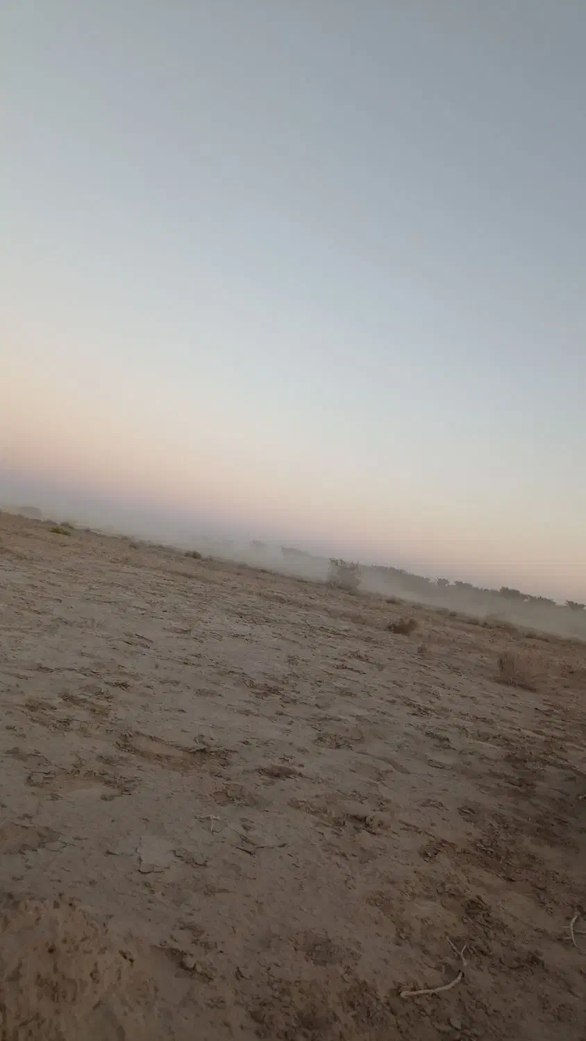 نیازمند کارگر|خدمات باغبانی و درختکاری|جلگه چاه هاشم, |دیوار