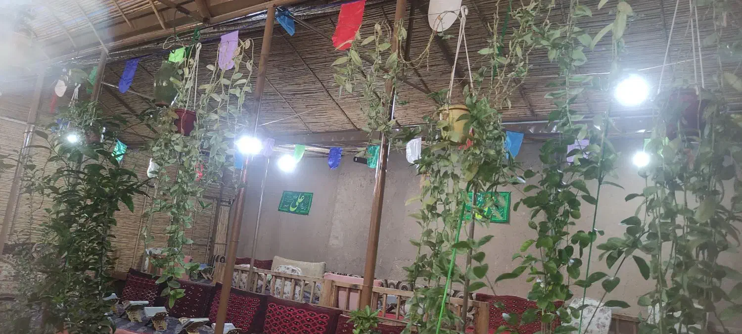 هتل سنتی|خدمات پذیرایی، مراسم|بردسکن, |دیوار