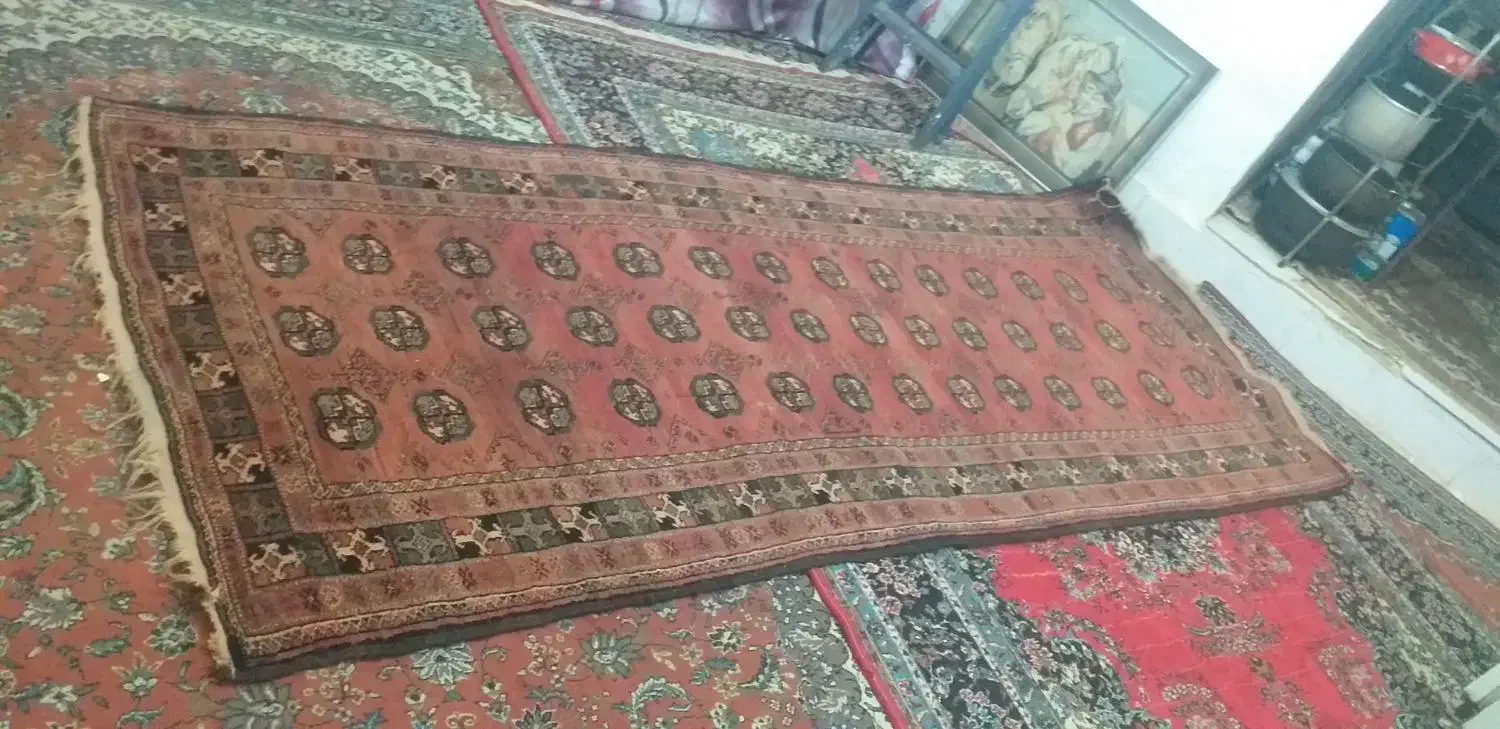 فرش دستبافت|فرش|زابل, |دیوار