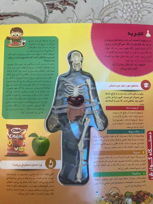 کتاب بدن انسان را بشناسید|کتاب و مجله آموزشی|تهران, باشگاه نفت|دیوار