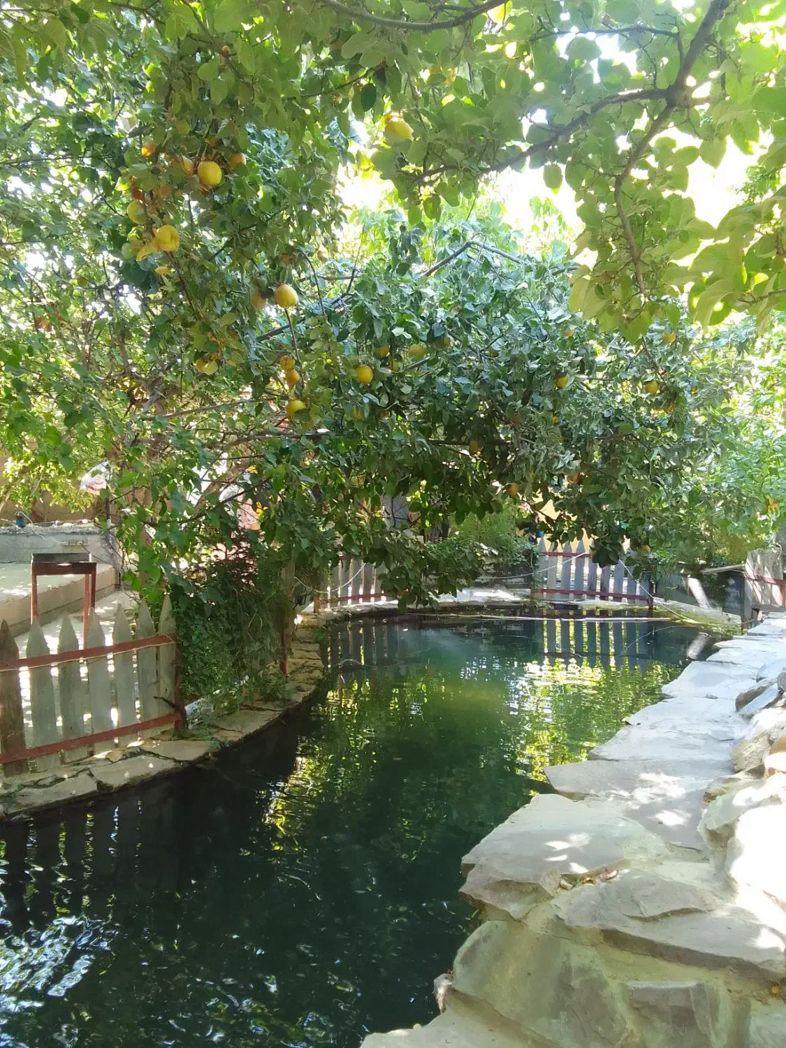 توریکروزه بانوان|تور و چارتر|شیراز, رحمتآباد|دیوار