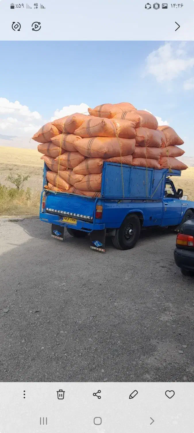 فروش نیسان ۸۴ دوگانه دستی ماشین کار|خودرو سواری و وانت|میانه, |دیوار