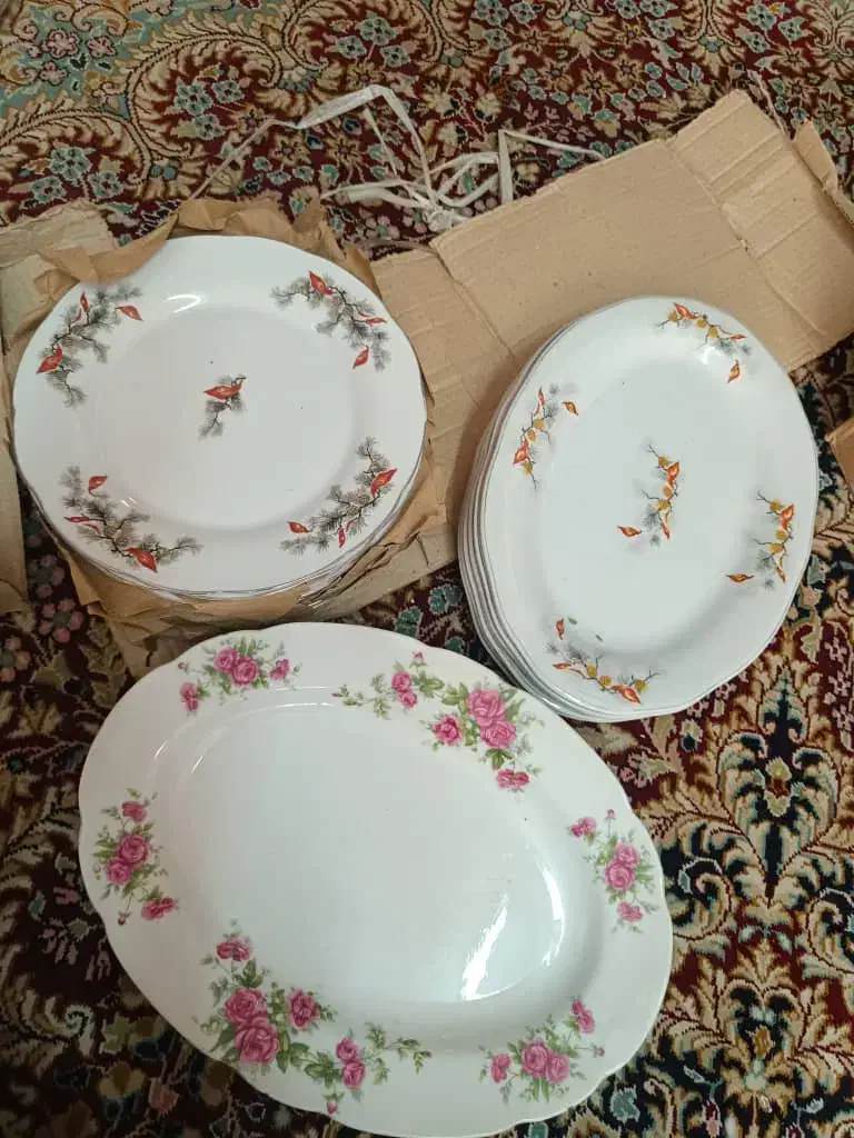 ظروف چینی|ظروف سرو و پذیرایی|شیراز, زرهی|دیوار