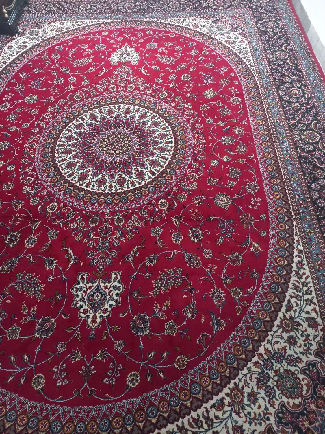 فرش فروشی|فرش|آسارا, |دیوار