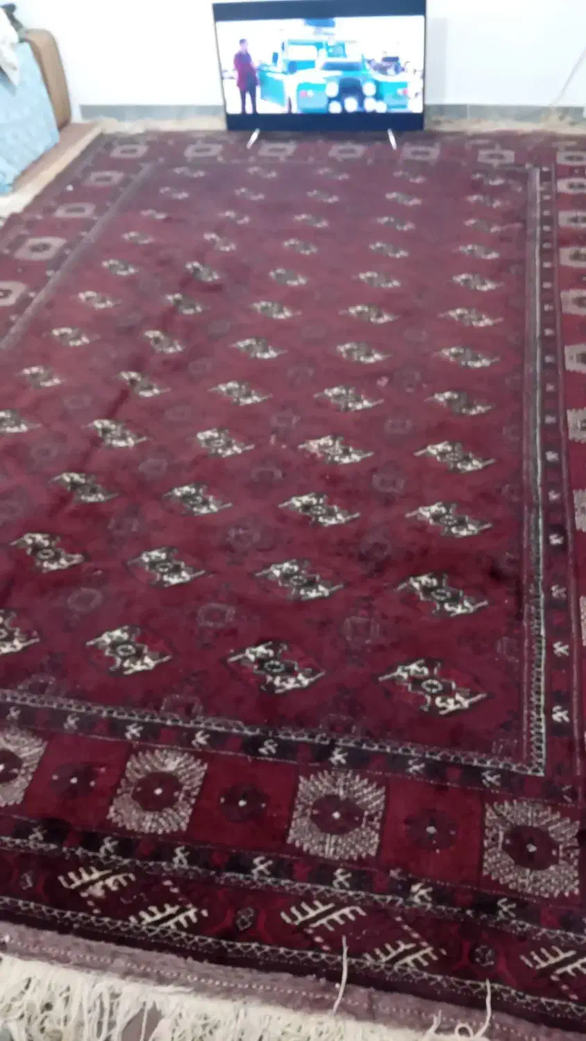 قالی دست بافت قدیمی|فرش|گرگان, |دیوار