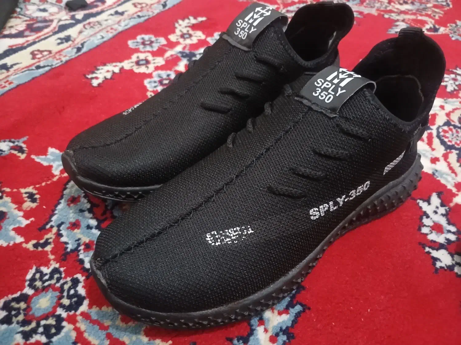 کفش|کیف، کفش، کمربند|شیراز, کفترک|دیوار