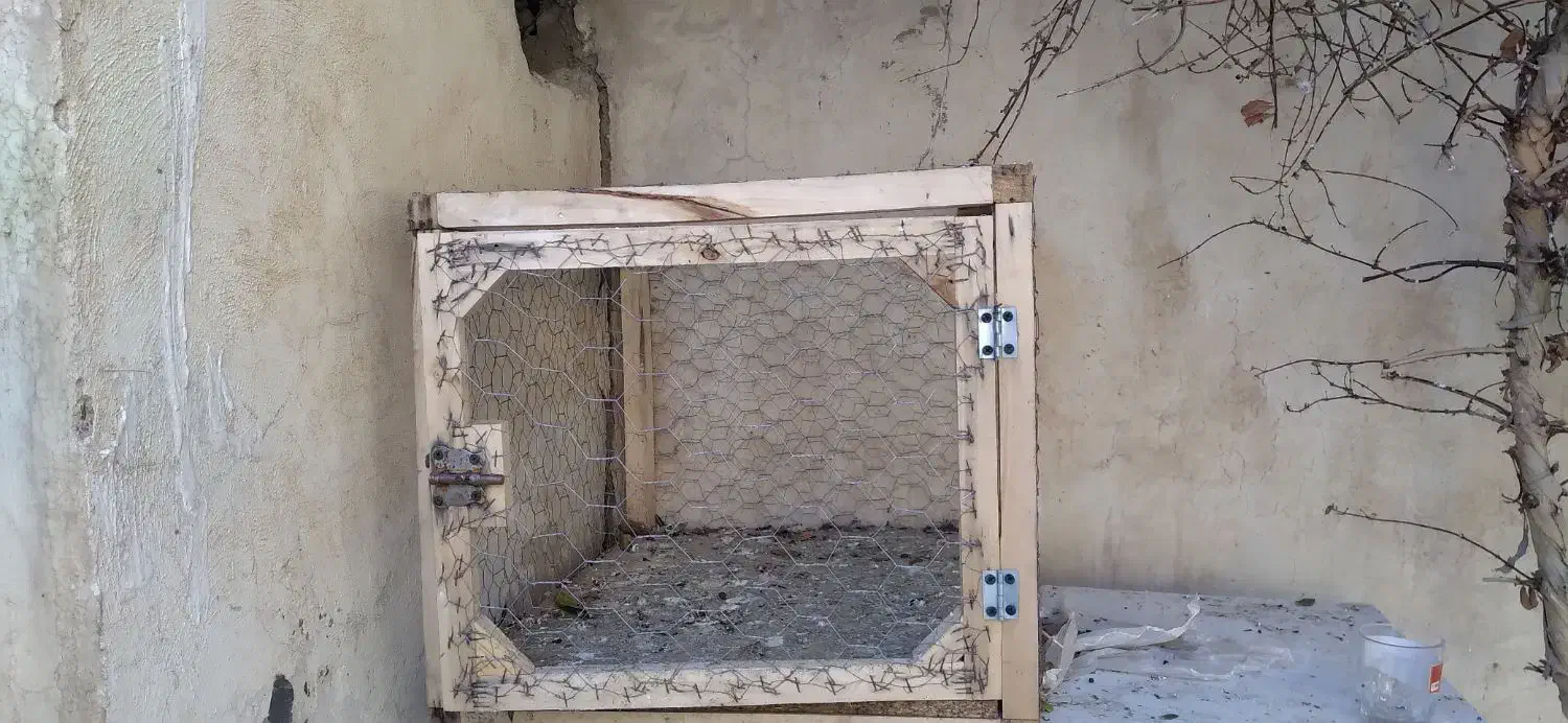 تور یا همون قفس|لوازم جانبی حیوانات|تاکستان, |دیوار