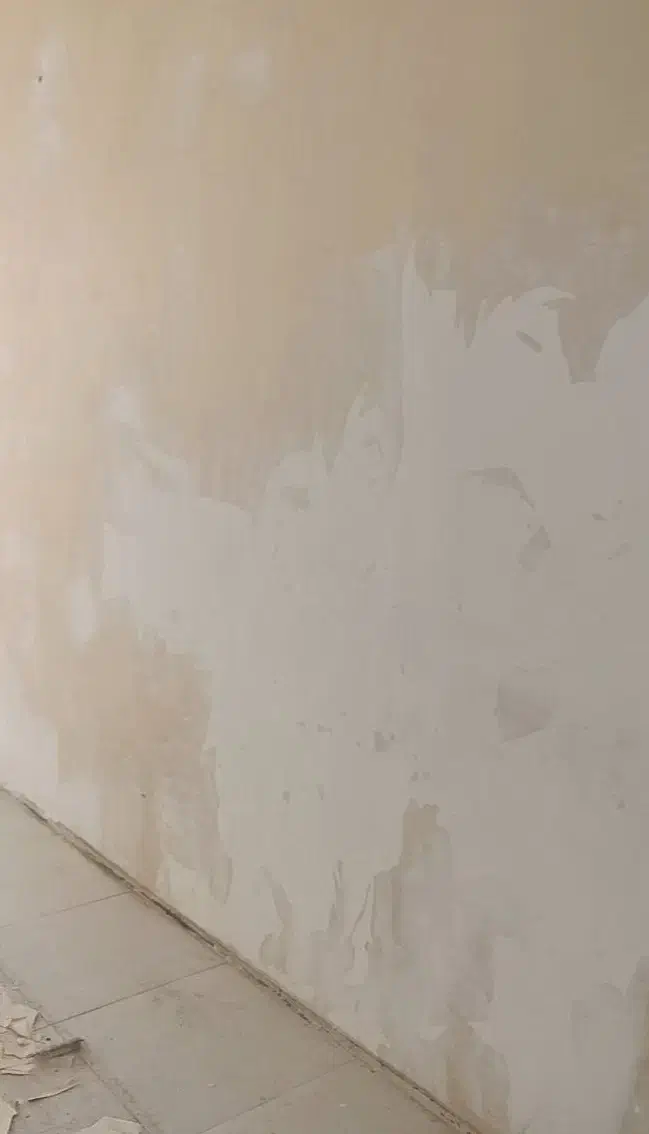 رنگ امیزی (نقاش) و تعمیرات ساختمان|خدمات پیشه و مهارت|اهواز, زیتون کارمندی|دیوار