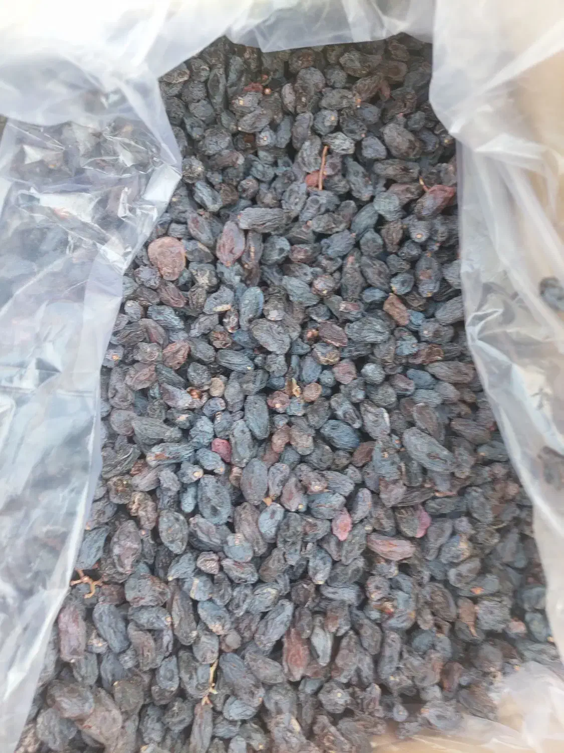 کشمش آفتابی پلویی|عمده‌فروشی|ساوه, |دیوار