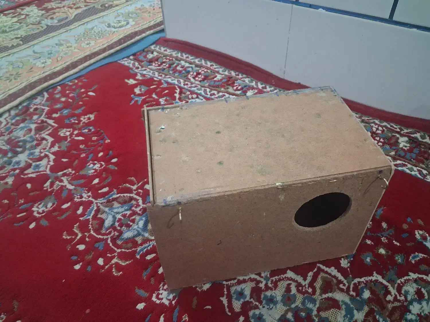 قفس|لوازم جانبی حیوانات|داراب, |دیوار