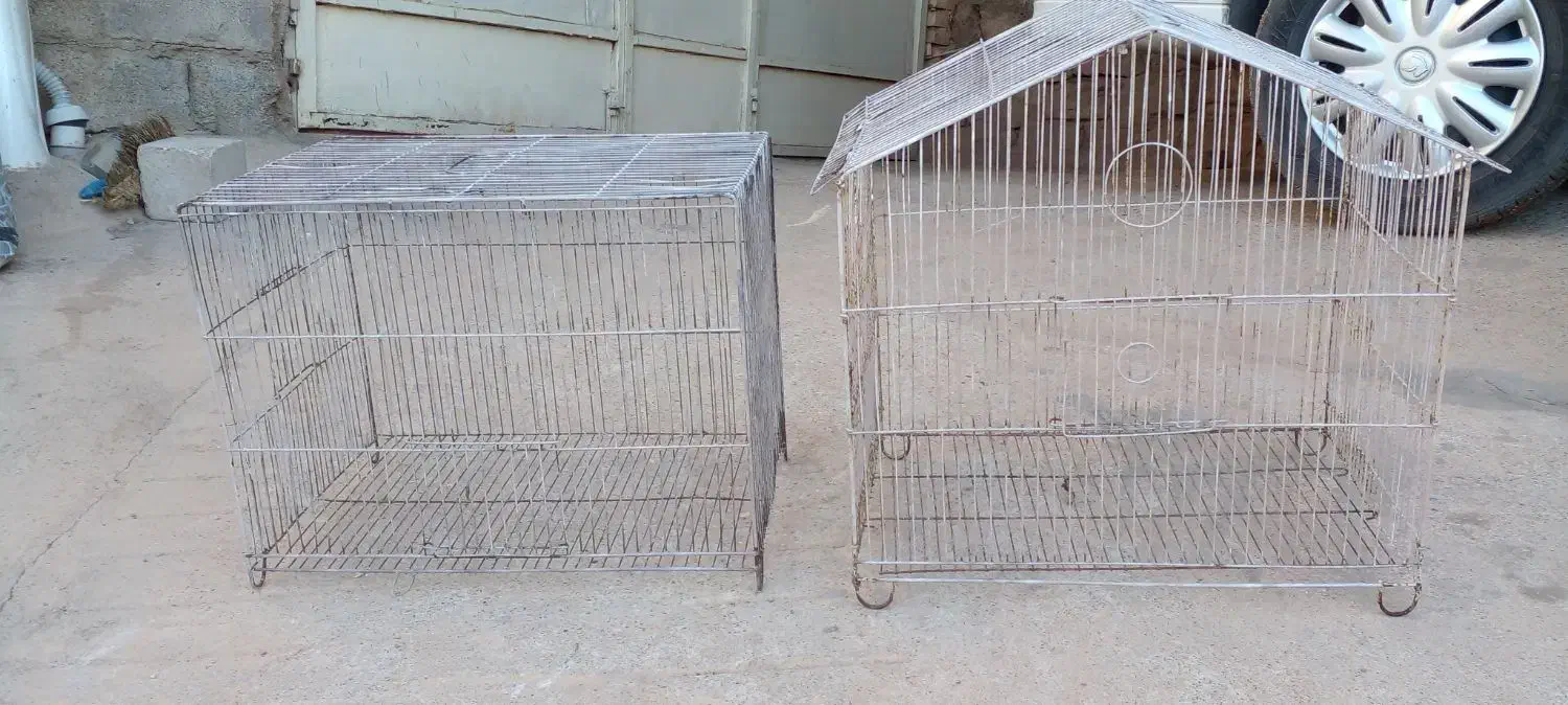 قفس|لوازم جانبی حیوانات|مسجد سلیمان, |دیوار