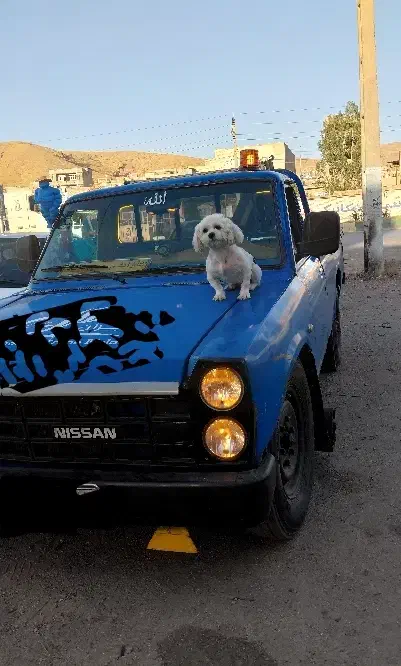 امداد خودرو  و یدکش|خدمات موتور و ماشین|تیکمه داش, |دیوار