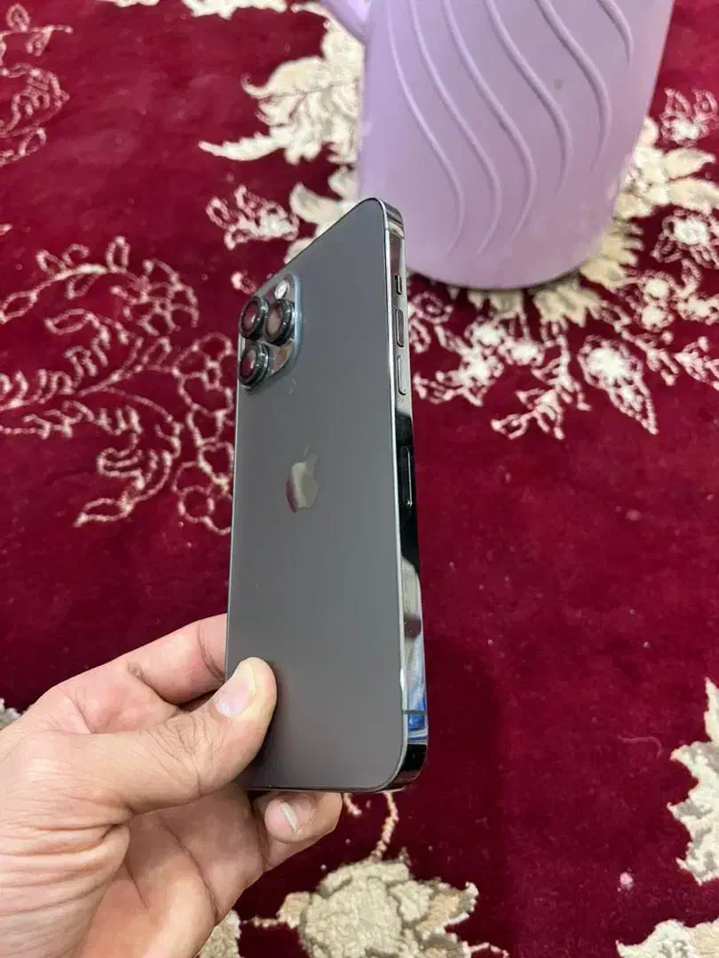 اپل iPhone 12 Pro Max با حافظهٔ ۲۵۶ گیگابایت|موبایل|شوش, |دیوار