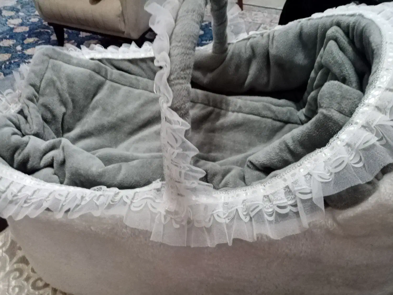 کریر نوزاد|کالسکه و لوازم جانبی|خرمدره, |دیوار