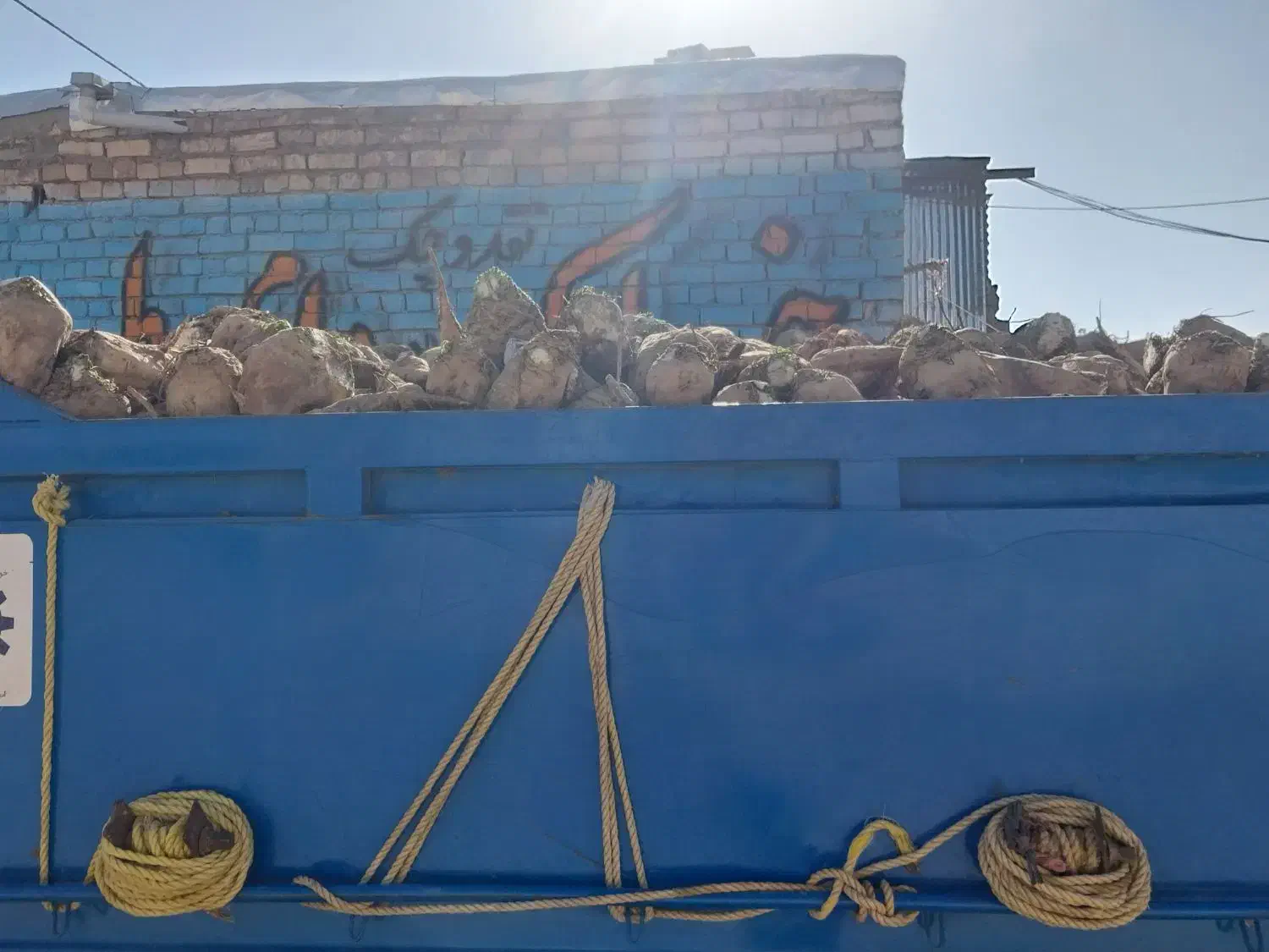 چغندر قندی. کاه و سبوس برنج|خدمات باغبانی و درختکاری|طاغنکوه, |دیوار