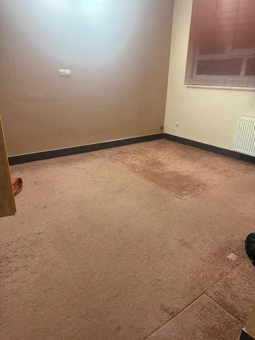 موکت ۱۲ متری پالاز|موکت|شیراز, قدوسی غربی|دیوار