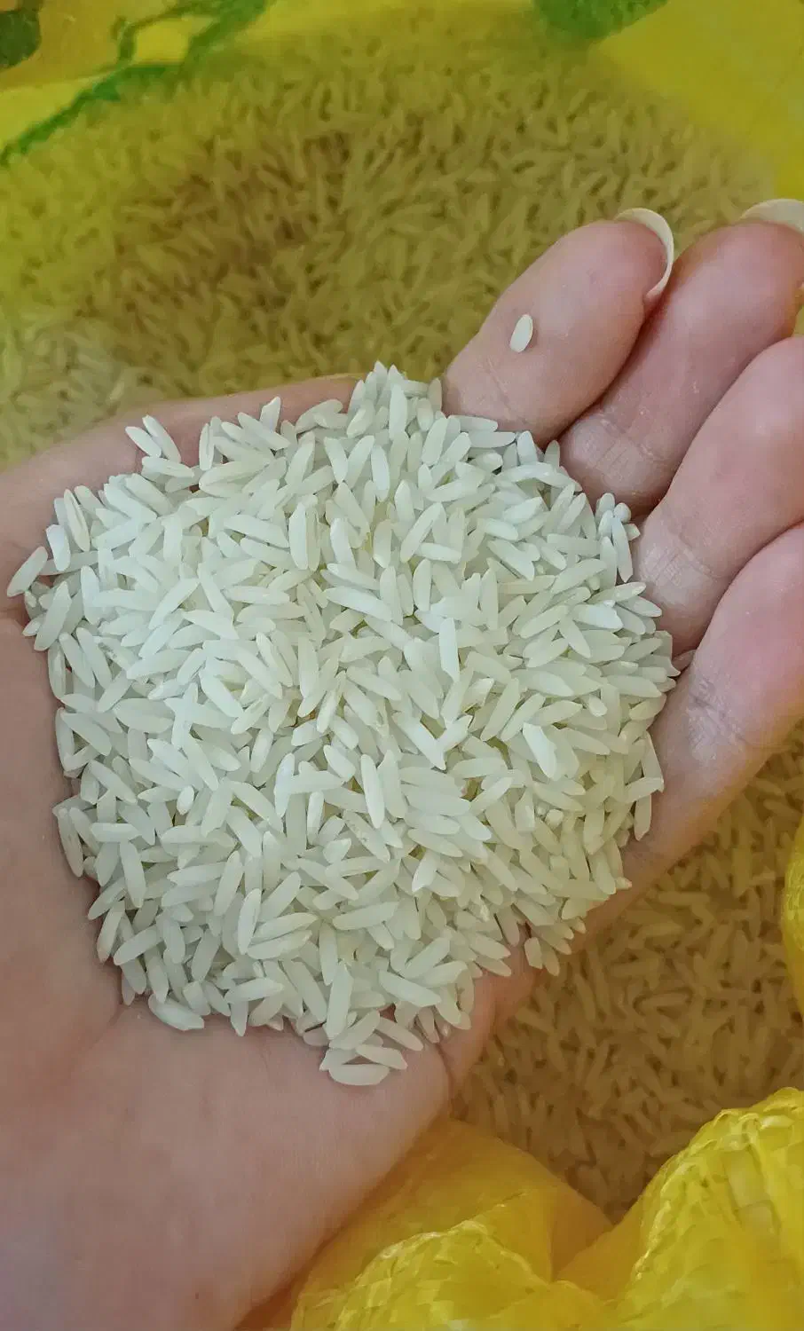 فروش برنج طارم هاشمی معطر درجه یک|خوردنی و آشامیدنی|مهدی شهر, |دیوار