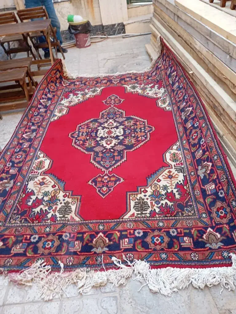 فرش دستباف|فرش|شیراز, تندگویان|دیوار