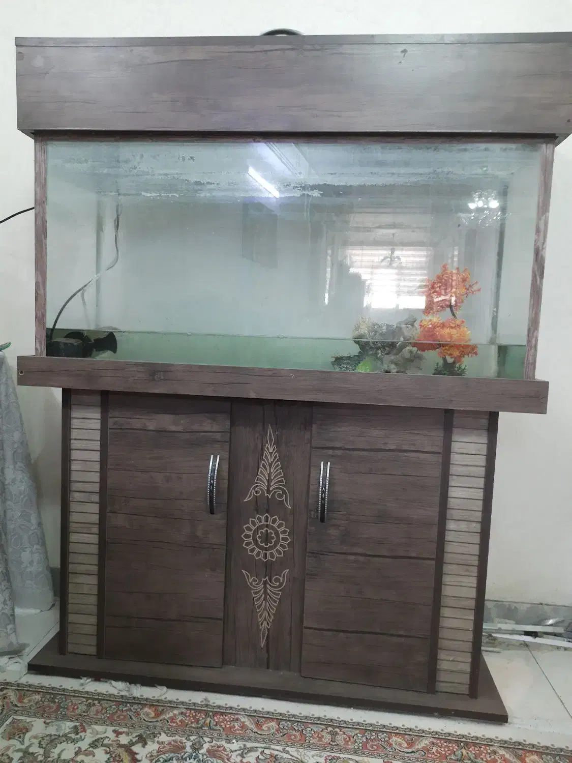 آکواریوم|ماهی|ری, حمزهآباد|دیوار