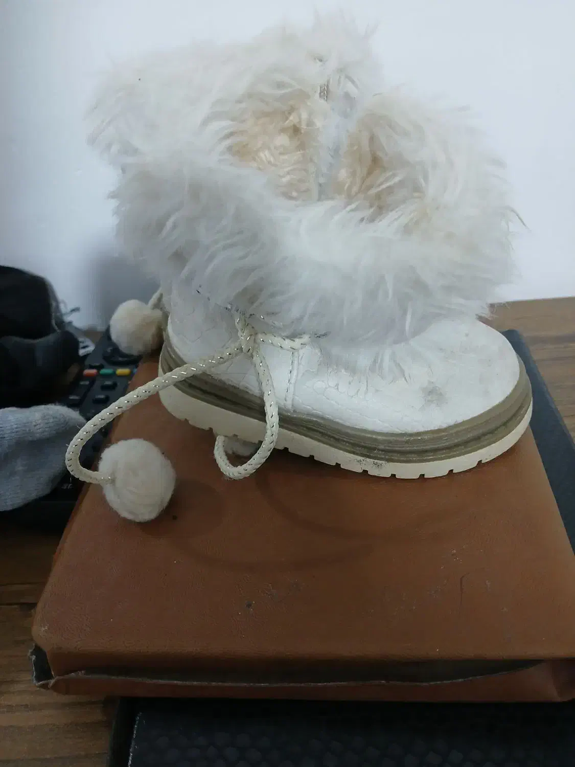 کفش‌زمستانی‌بچگانه‌شماره۲۱|کیف، کفش، کمربند|ارشق, |دیوار