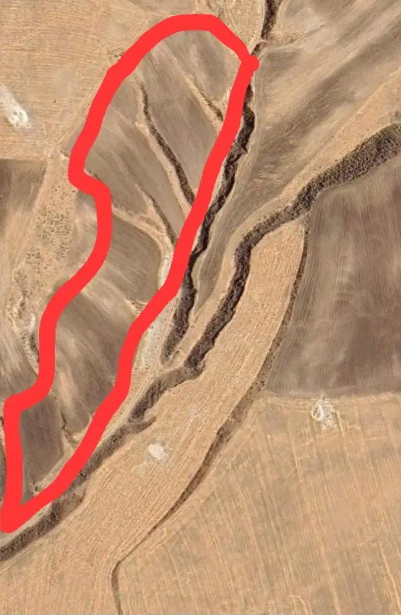 فروش زمین دیم|فروش دفتر صنعتی، کشاورزی، تجاری|سراجو, |دیوار