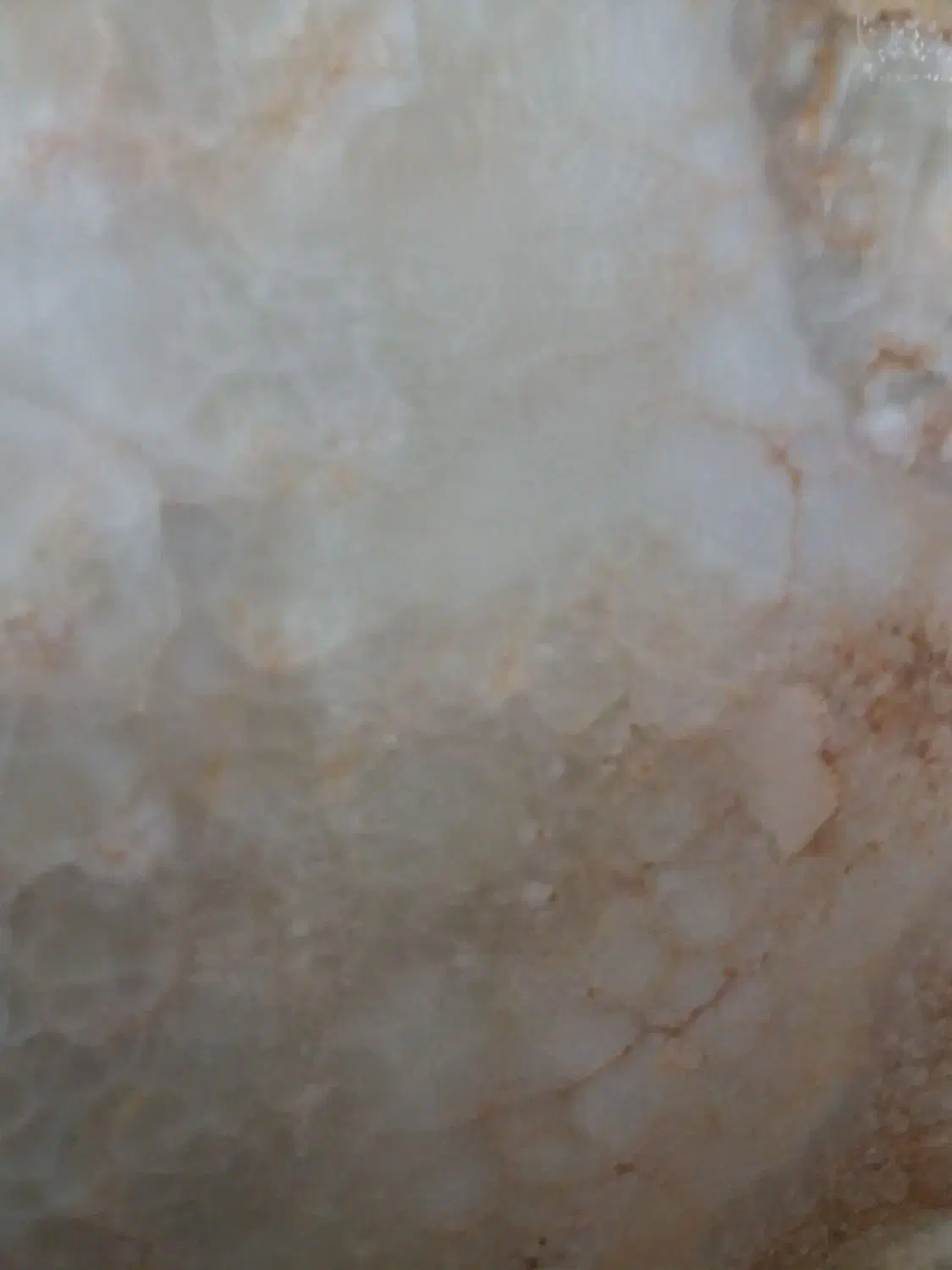 کاشی و سرامیک|خدمات پیشه و مهارت|سنقر, |دیوار