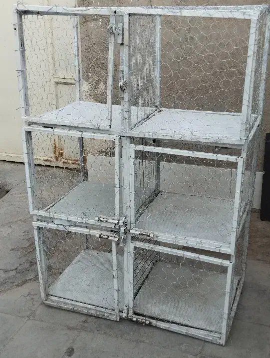 جفت گاه|لوازم جانبی حیوانات|رفسنجان, |دیوار