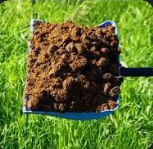 کود|خدمات باغبانی و درختکاری|شهرکرد, |دیوار