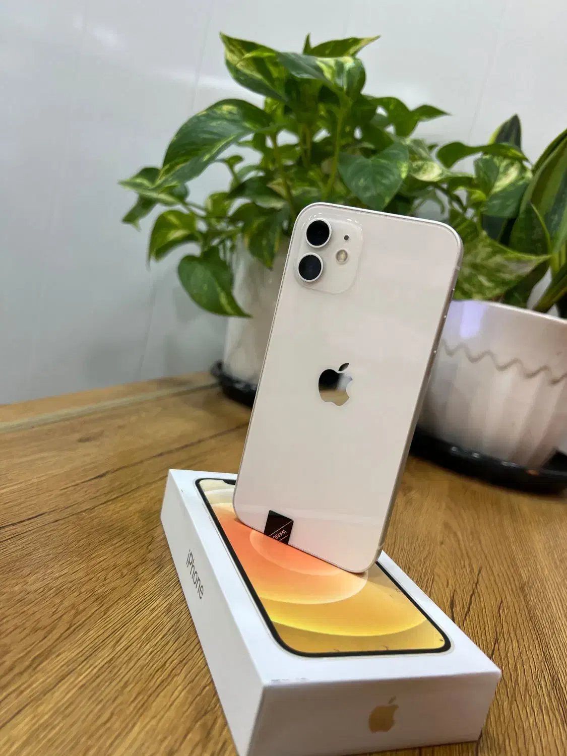 آیفون ۱۲ نرمال|موبایل|سلماس, |دیوار