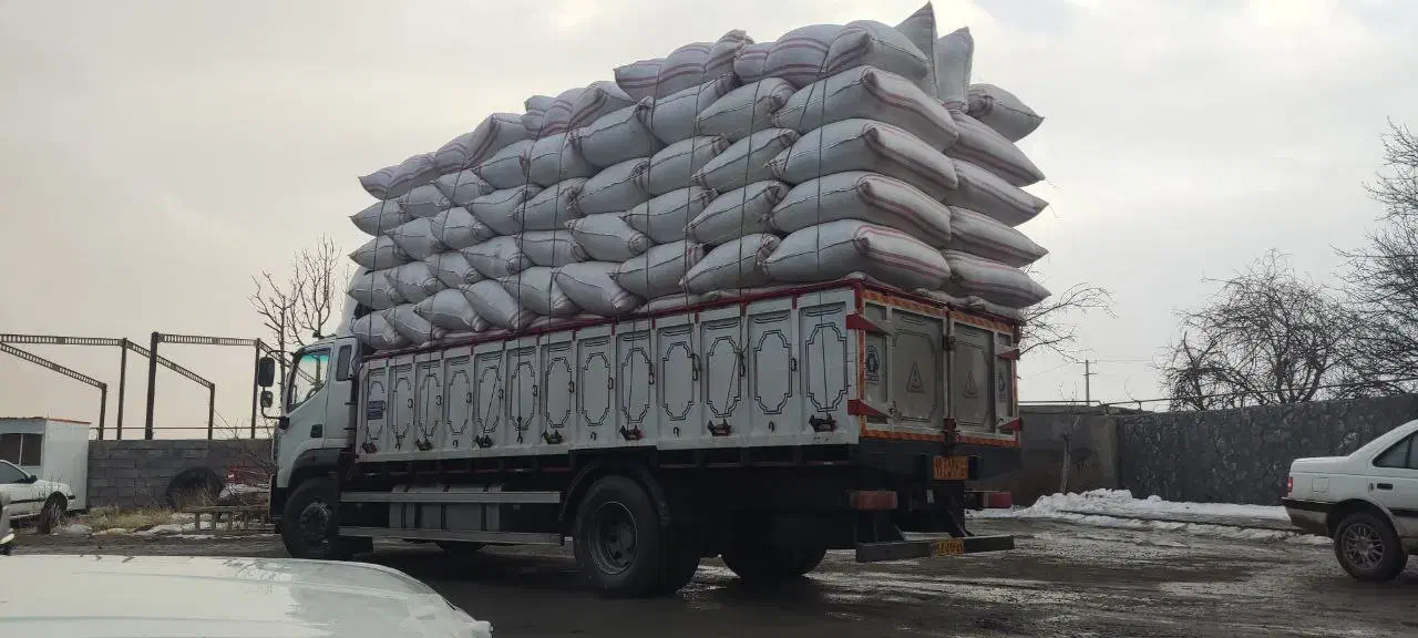 کاه کیسه شده|لوازم جانبی حیوانات|دهگلان, |دیوار